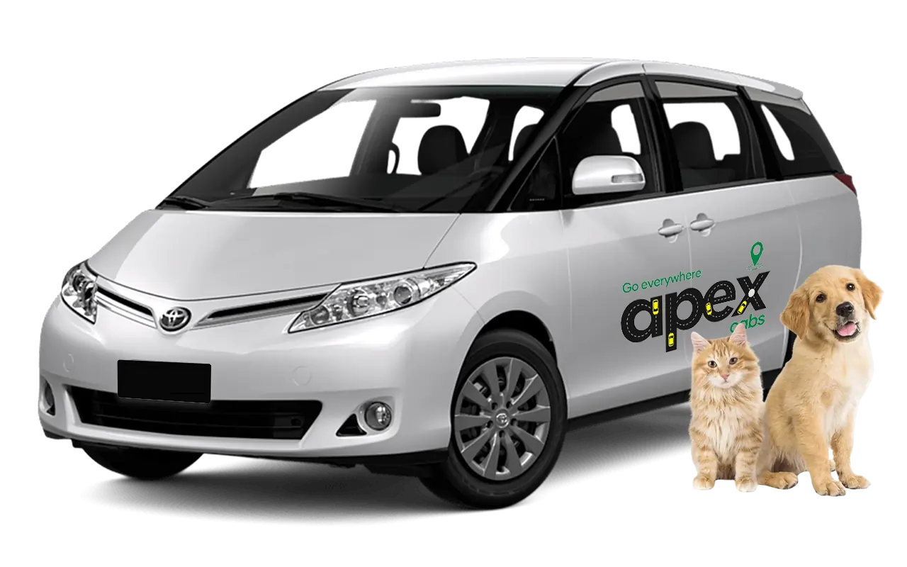 Taxi For Pets