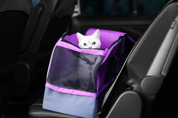 apex cabs